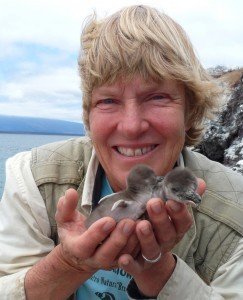 Dee Boersma - Professional null Speaker