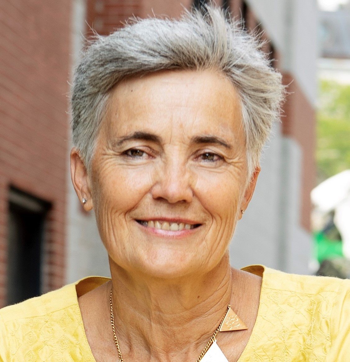 Robin Chase - Professional null Speaker