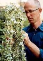 Andrew Beckman - Professional Speakers Booking