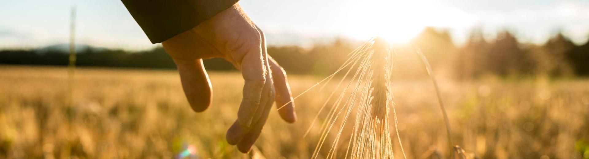 Inspirational Speakers hero