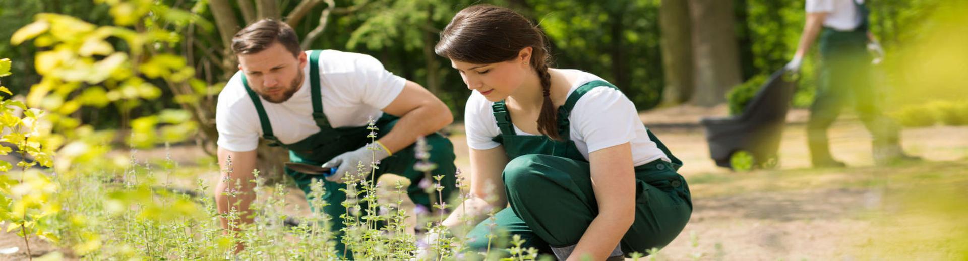 Philanthropists hero